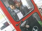 Laska wali konia w budce telefonicznej