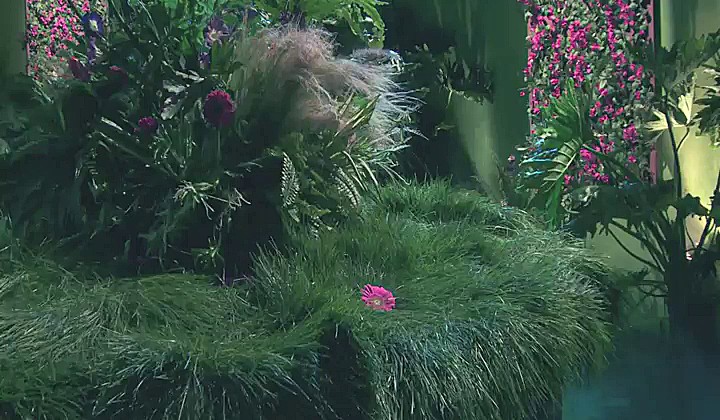 Orgietka w świecie fantazji