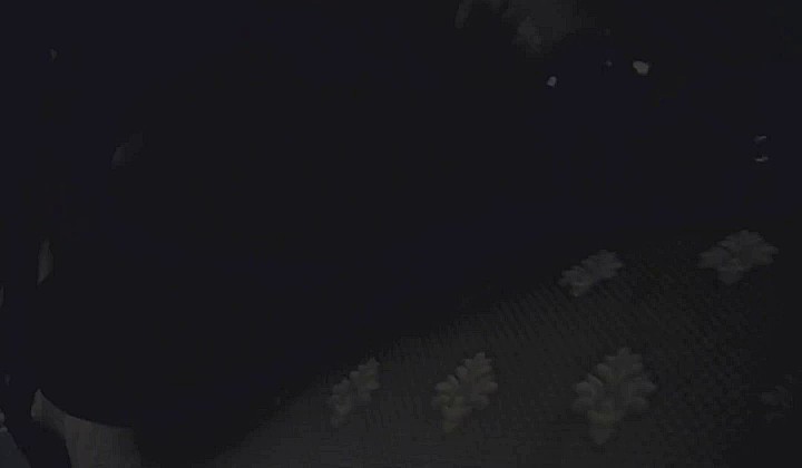 Cycata pokojówka wylizuje cipę swej pani