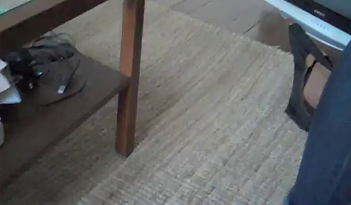 Stópki blondyneczki